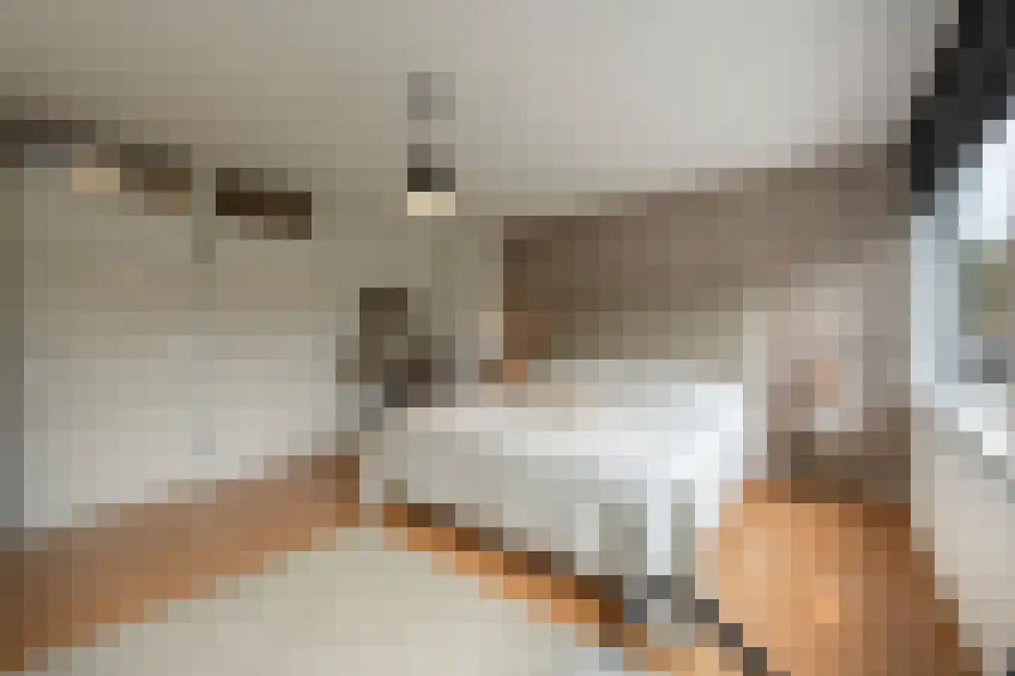 Gruttostraat 56 Strijen thumbnail 17
