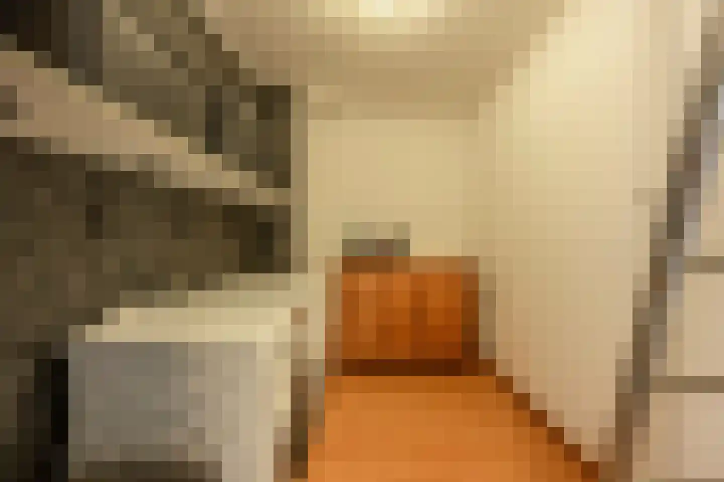 Gruttostraat 56 Strijen thumbnail 29