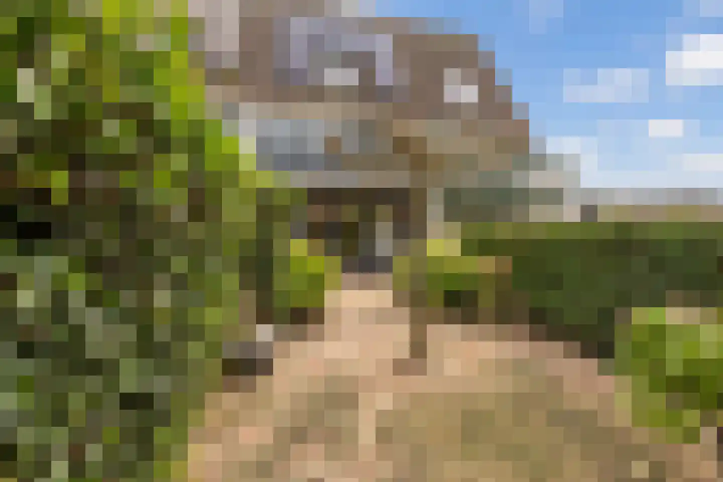 Gruttostraat 56 Strijen thumbnail 32