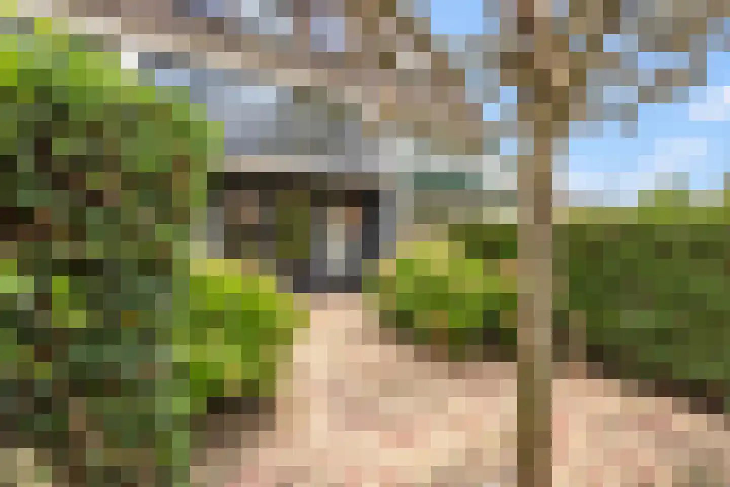Gruttostraat 56 Strijen thumbnail 33