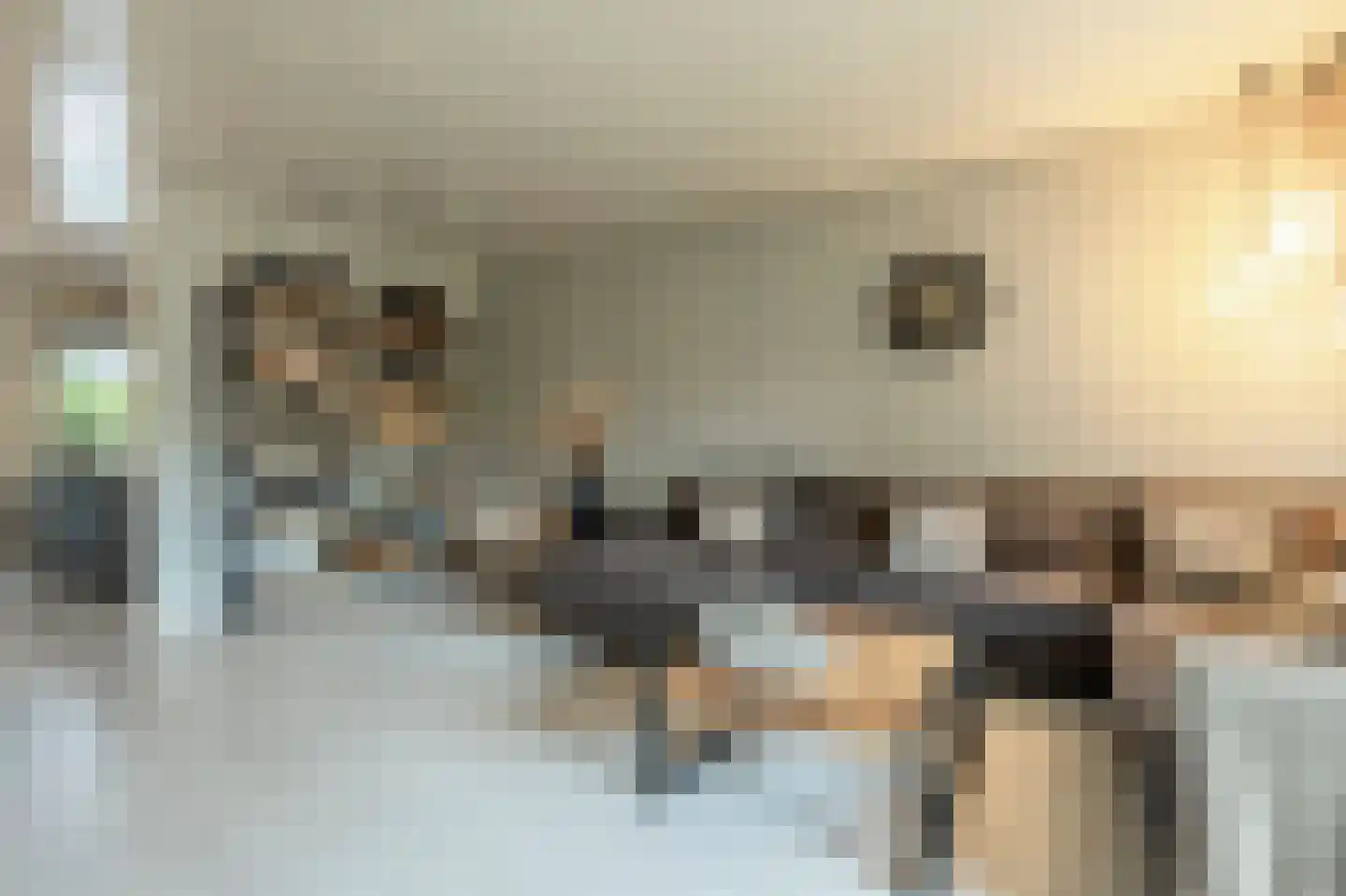 Gruttostraat 56 Strijen thumbnail 6