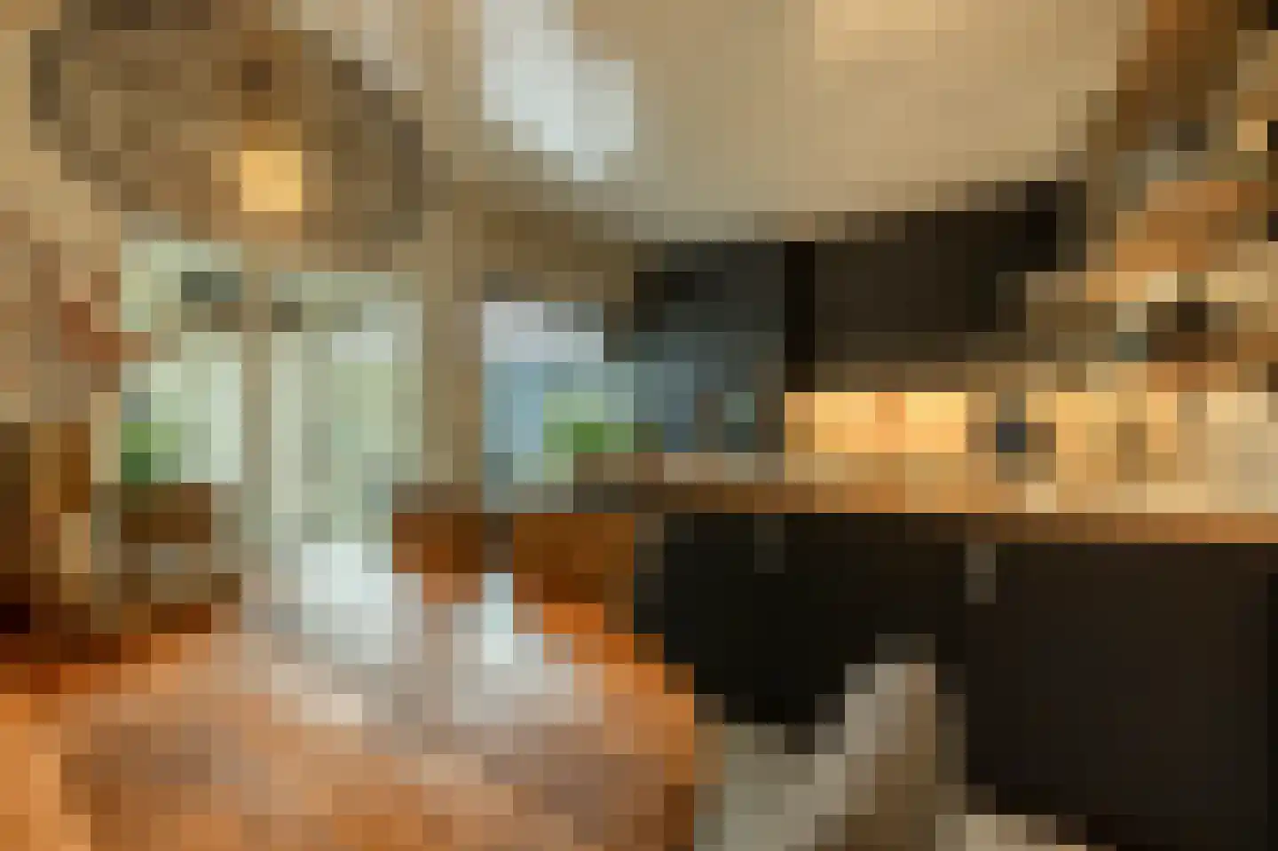 Gruttostraat 56 Strijen thumbnail 9