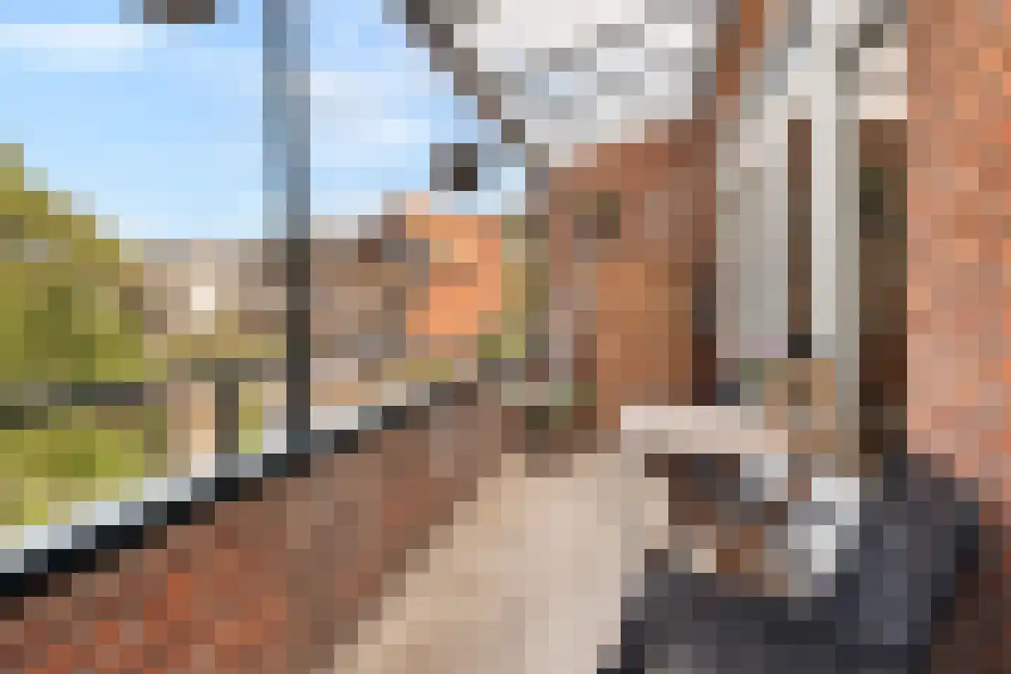 Gruttostraat 57 B Rotterdam thumbnail 19