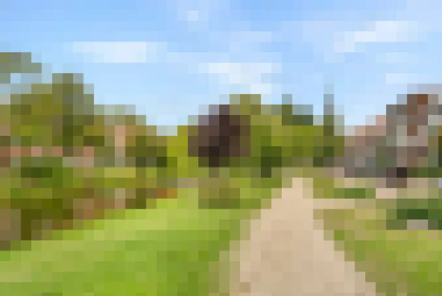 Gruttostraat 57 B Rotterdam thumbnail 33
