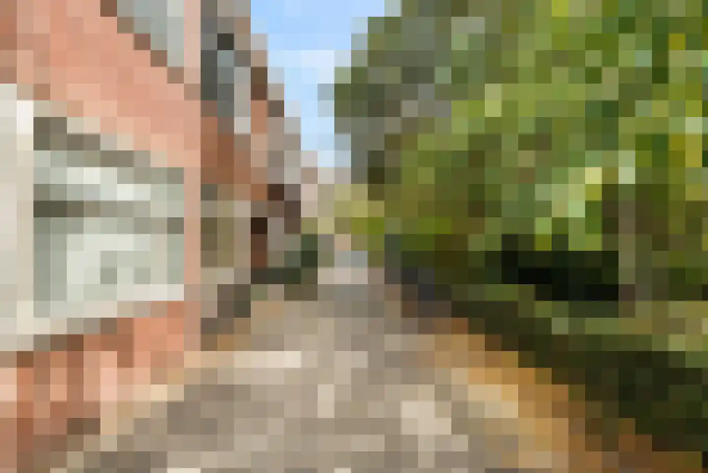 Gruttostraat 57 B Rotterdam thumbnail 8