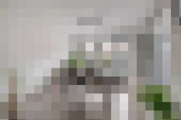 Gruttostraat 6 Epe thumbnail 10