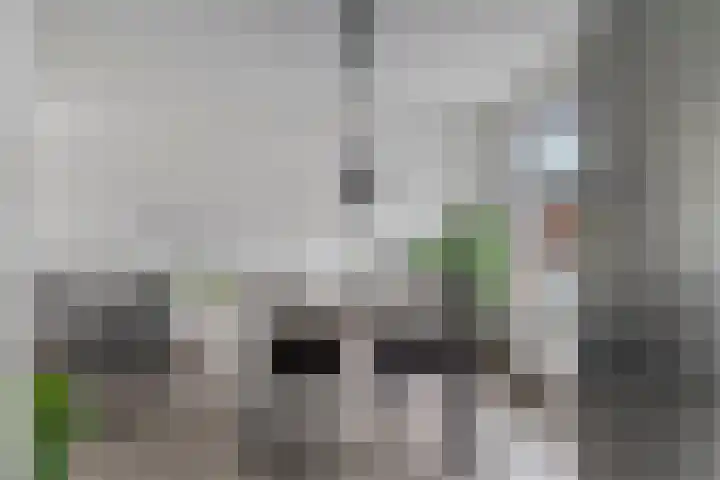 Gruttostraat 6 Epe thumbnail 11