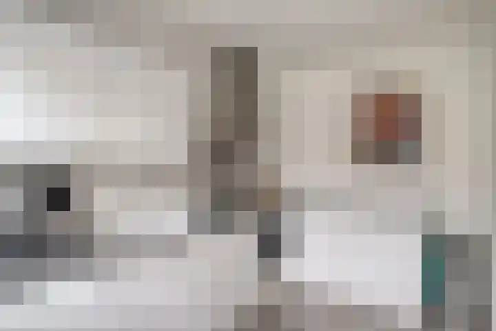 Gruttostraat 6 Epe thumbnail 13