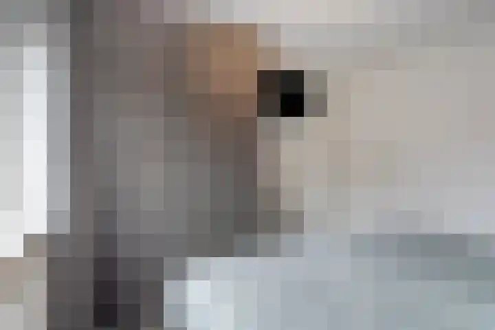 Gruttostraat 6 Epe thumbnail 16