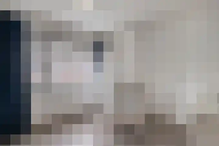 Gruttostraat 6 Epe thumbnail 17