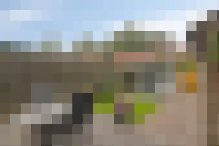 Gruttostraat 6 Epe thumbnail 21