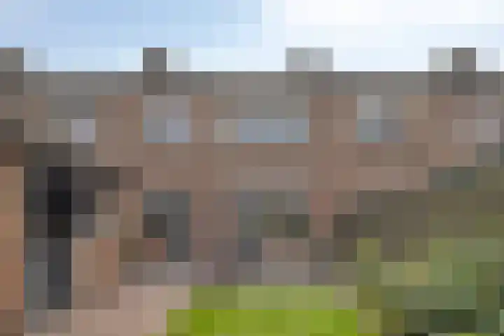 Gruttostraat 6 Epe thumbnail 23
