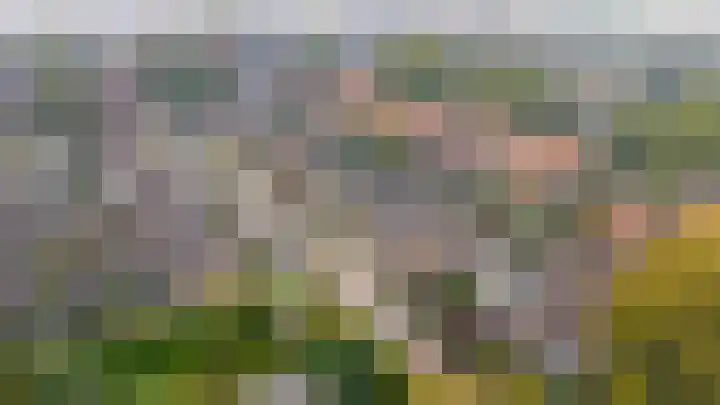 Gruttostraat 6 Epe thumbnail 26