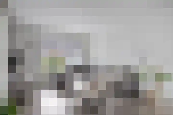 Gruttostraat 6 Epe thumbnail 7