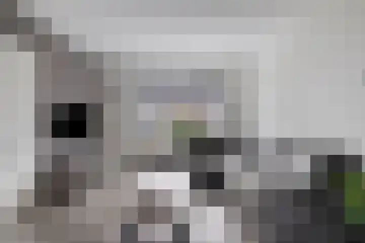Gruttostraat 6 Epe thumbnail 8