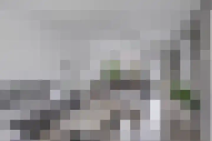Gruttostraat 6 Epe thumbnail 9