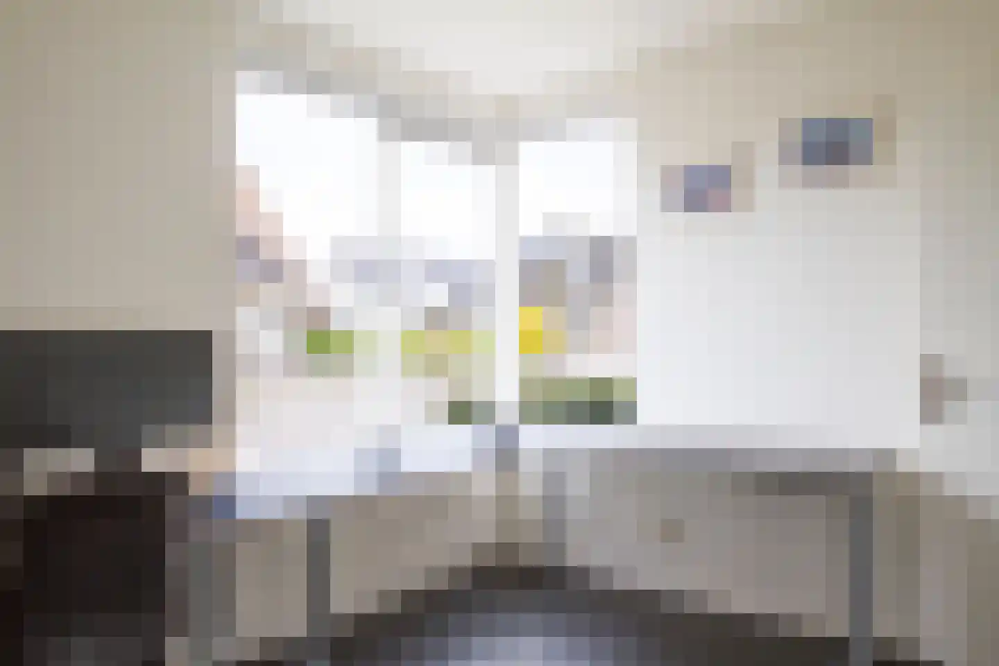 Gruttostraat 6 Nijeveen thumbnail 21