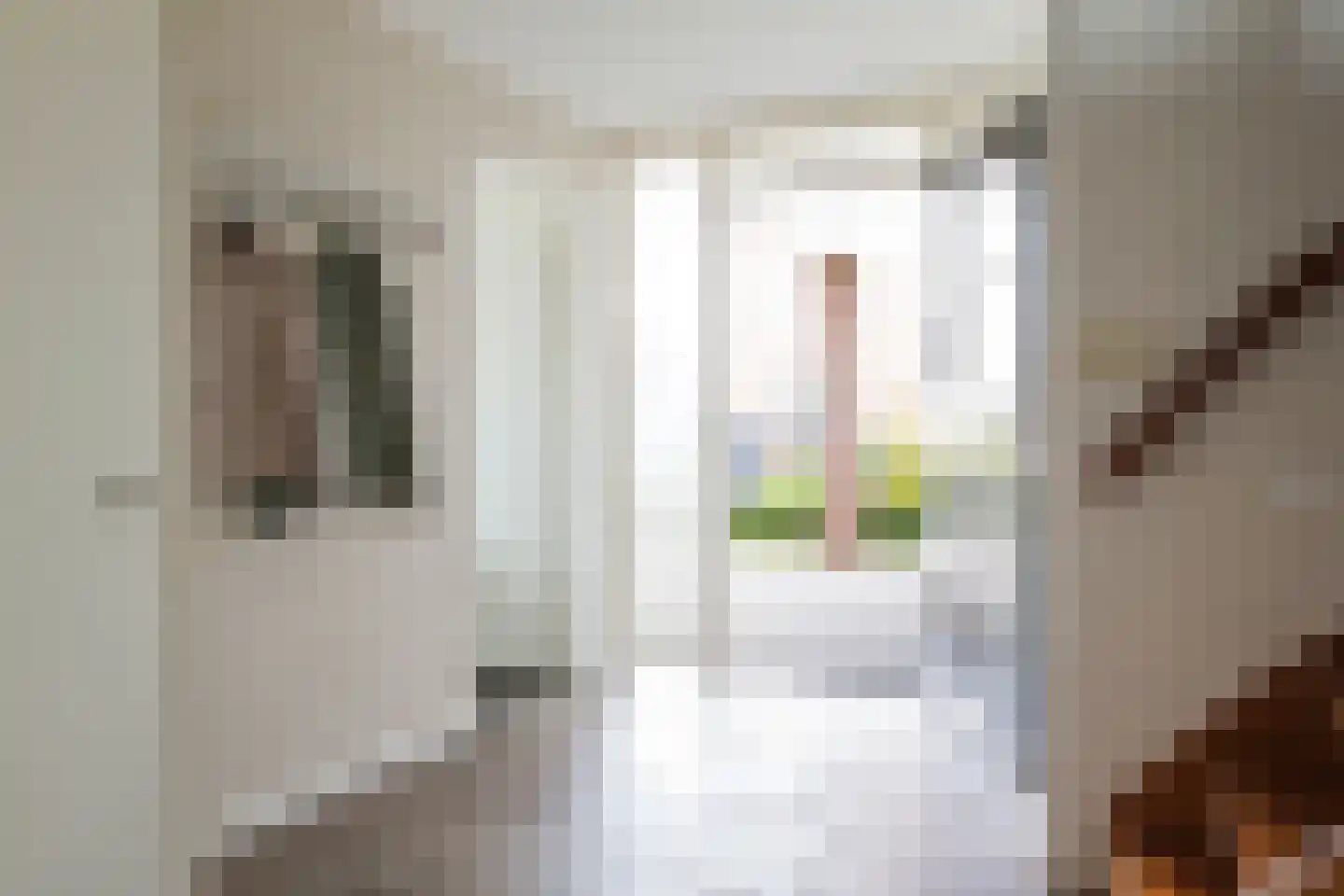 Gruttostraat 6 Nijeveen thumbnail 22