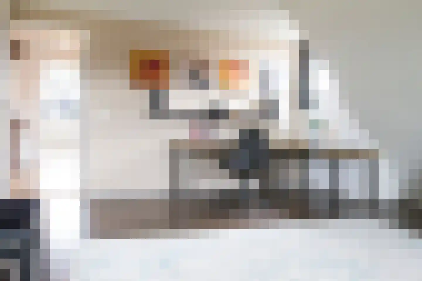 Gruttostraat 6 Nijeveen thumbnail 34