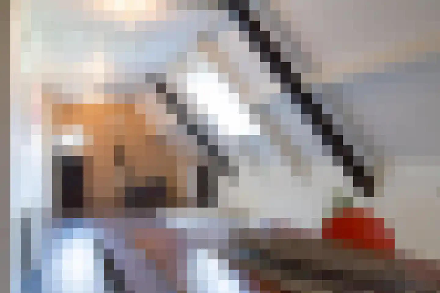 Gruttostraat 6 Nijeveen thumbnail 38