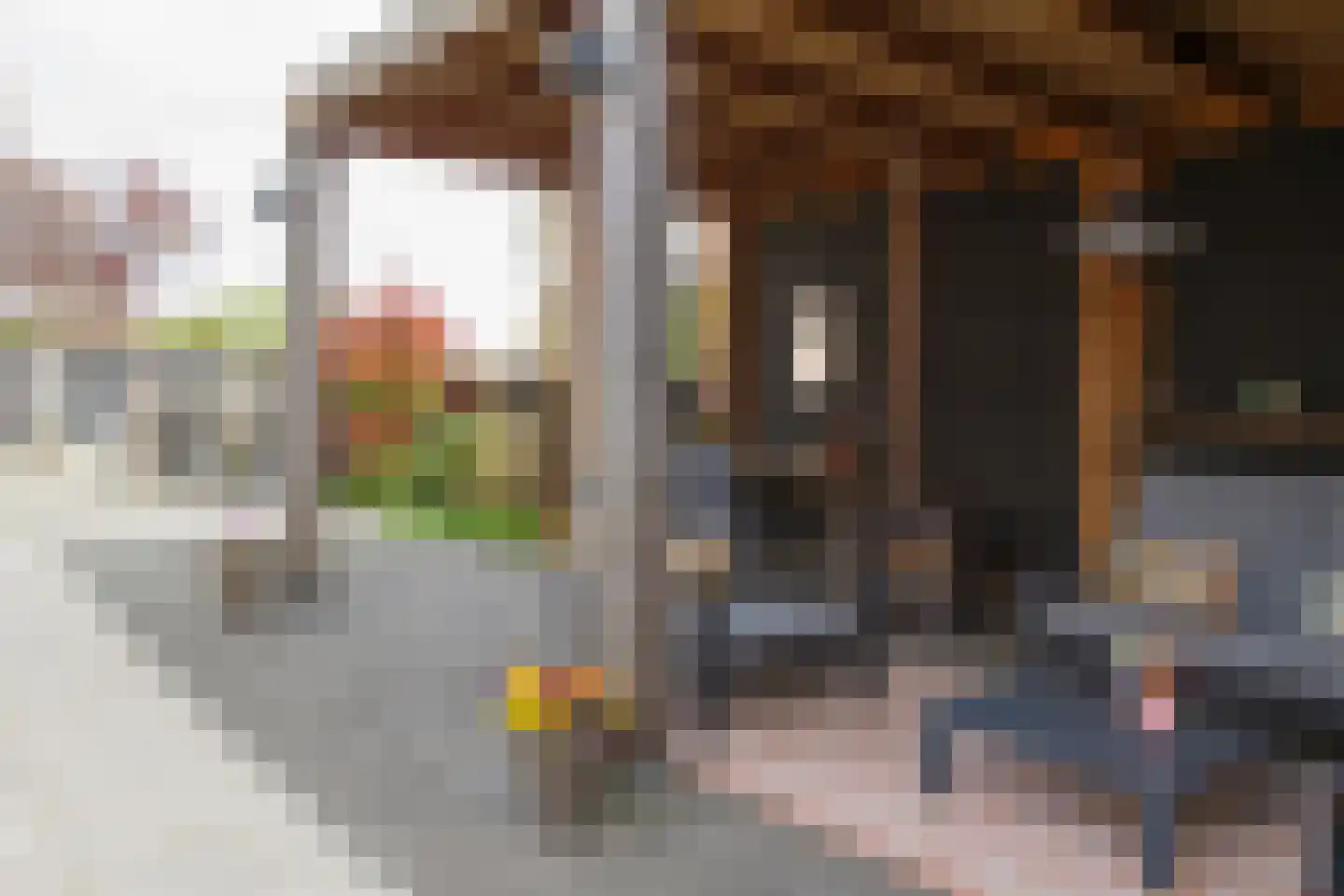 Gruttostraat 6 Nijeveen thumbnail 55