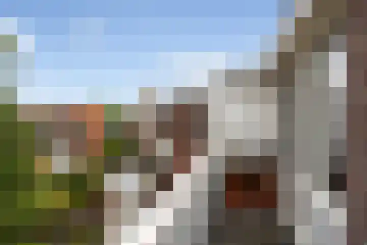 Gruttostraat 63 B Rotterdam thumbnail 28