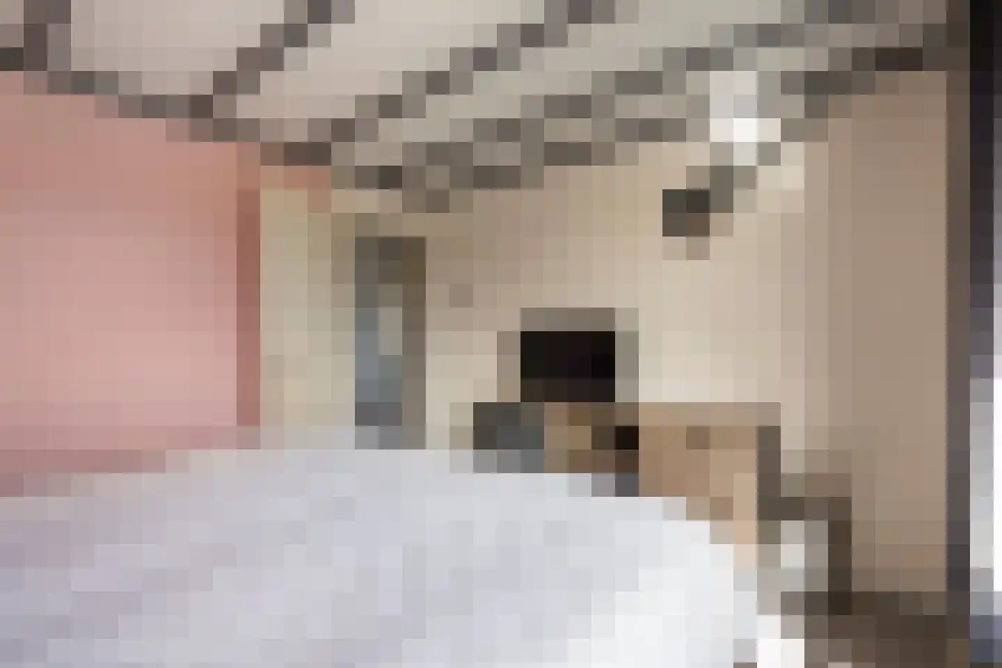 Gruttostraat 7 Wijchen thumbnail 18