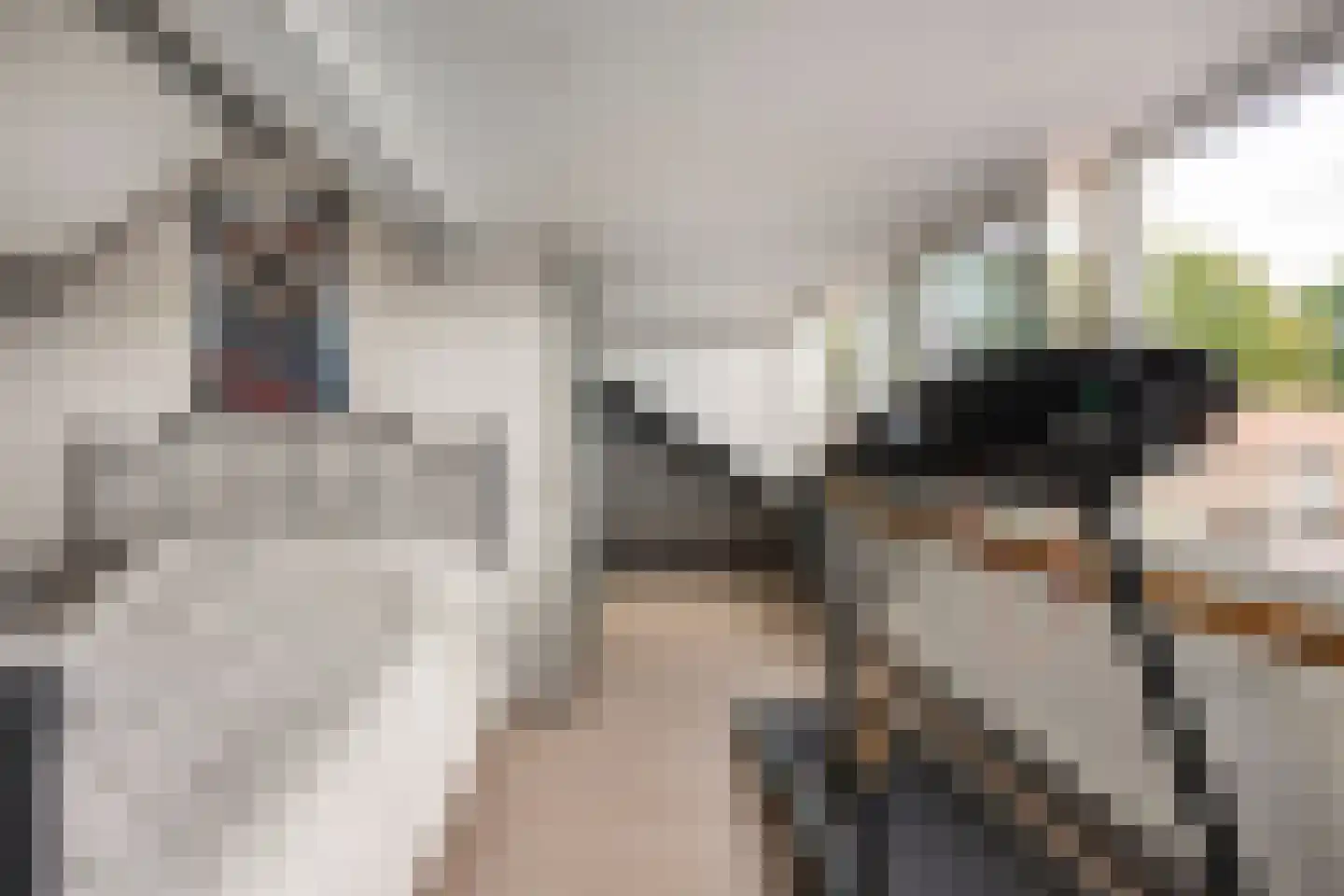 Gruttostraat 7 Wijchen thumbnail 25