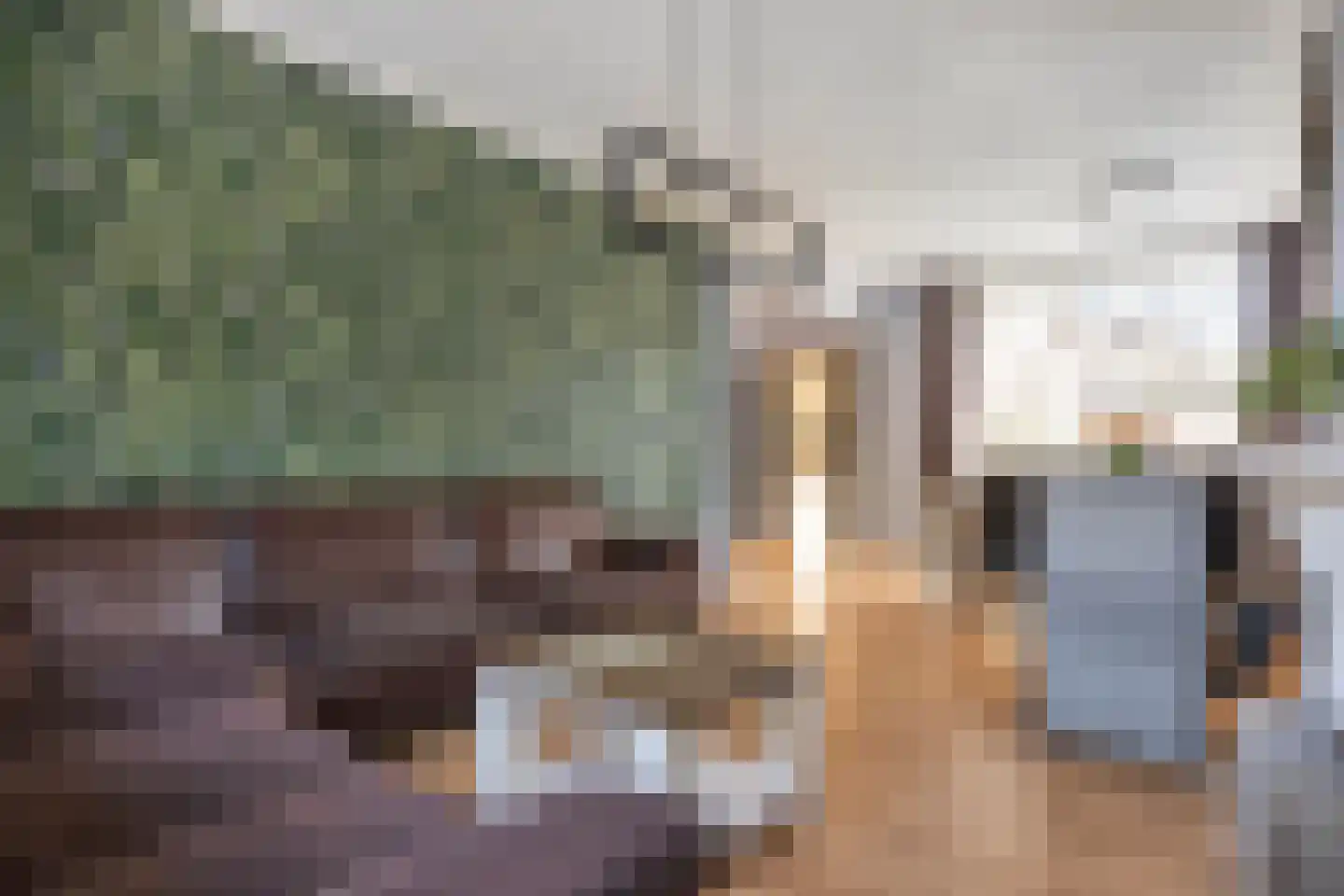 Gruttostraat 7 Wijchen thumbnail 4