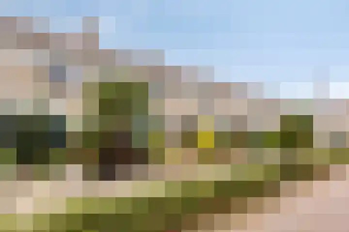 Gruttostraat 73 Rozenburg thumbnail 6