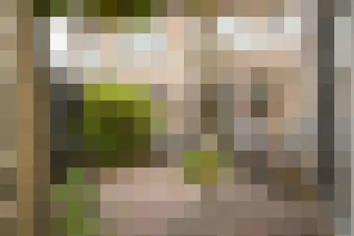 Gruttostraat 8 Beneden-Leeuwen thumbnail 36