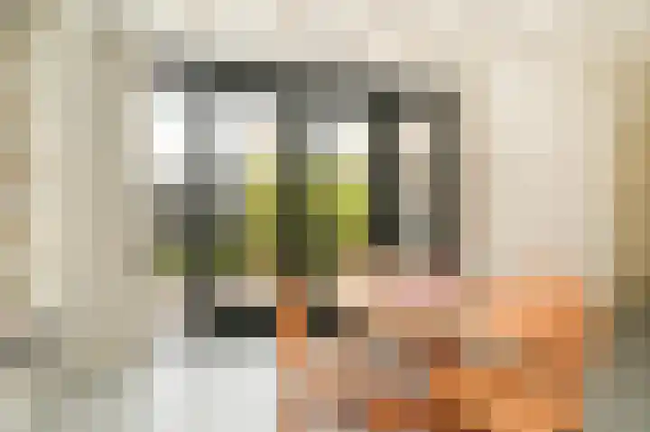 Gruttostraat 8 Beneden-Leeuwen thumbnail 5