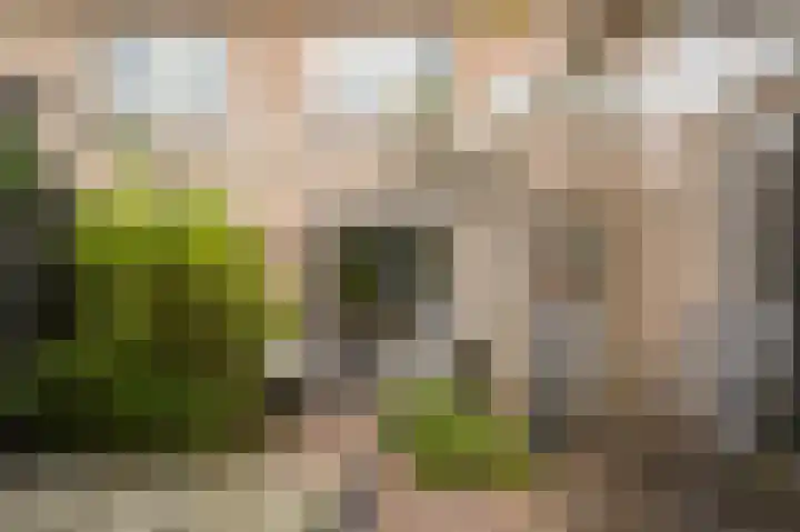 Gruttostraat 8 Beneden-Leeuwen thumbnail 6