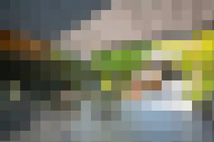 Gruttostraat 8 Hellevoetsluis thumbnail 4