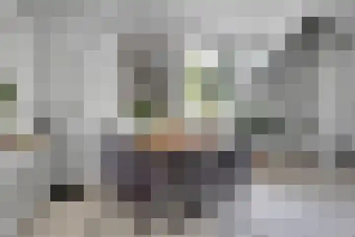 Gruttostraat 8 Maurik thumbnail 10
