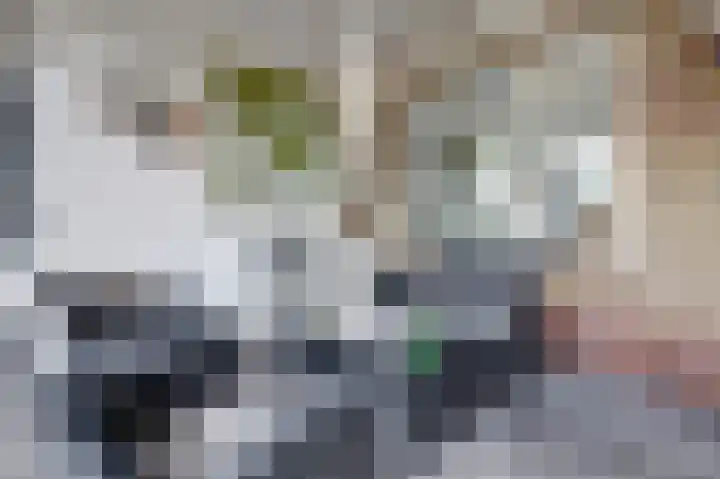 Gruttostraat 8 Maurik thumbnail 32