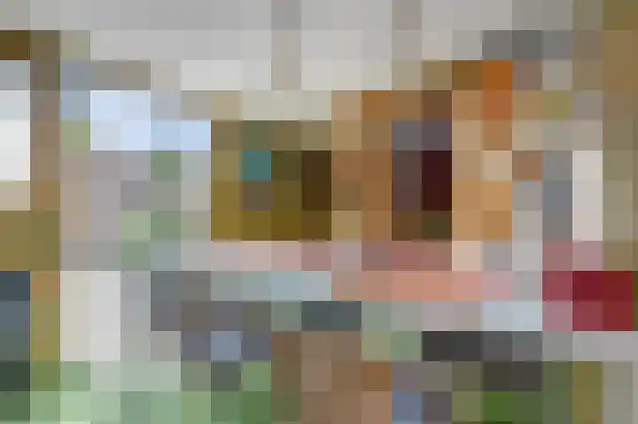 Gruttostraat 8 Maurik thumbnail 34