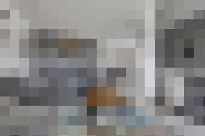 Gruttostraat 8 Maurik thumbnail 6