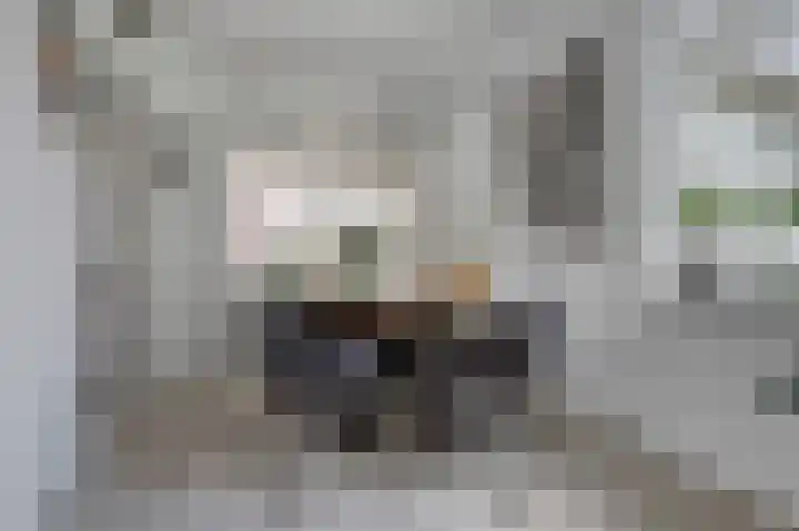 Gruttostraat 8 Maurik thumbnail 9