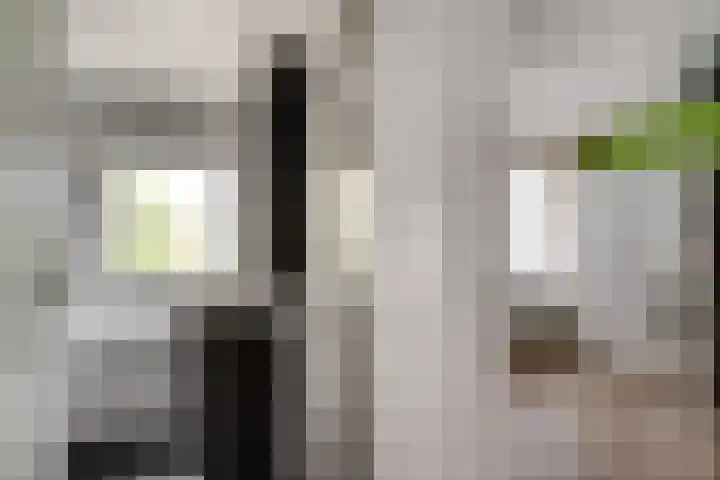 Gruttostraat 8 Wijchen thumbnail 19