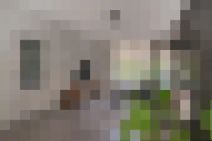 Gruttostraat 8 Wijchen thumbnail 5