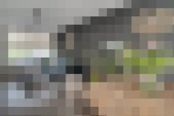 Gruttostraat 8 Wijchen thumbnail 6