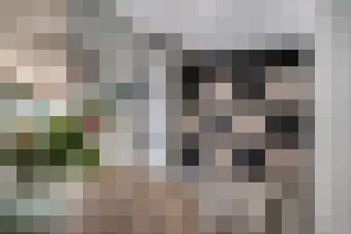 Gruttostraat 8 Wijchen thumbnail 9