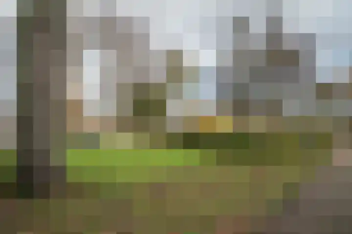 Gruttostraat 81 Bleiswijk thumbnail 47