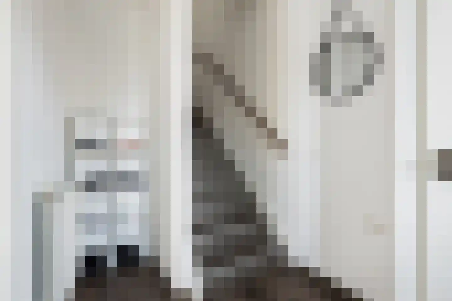 Gruttostraat 9 Bruchem thumbnail 11