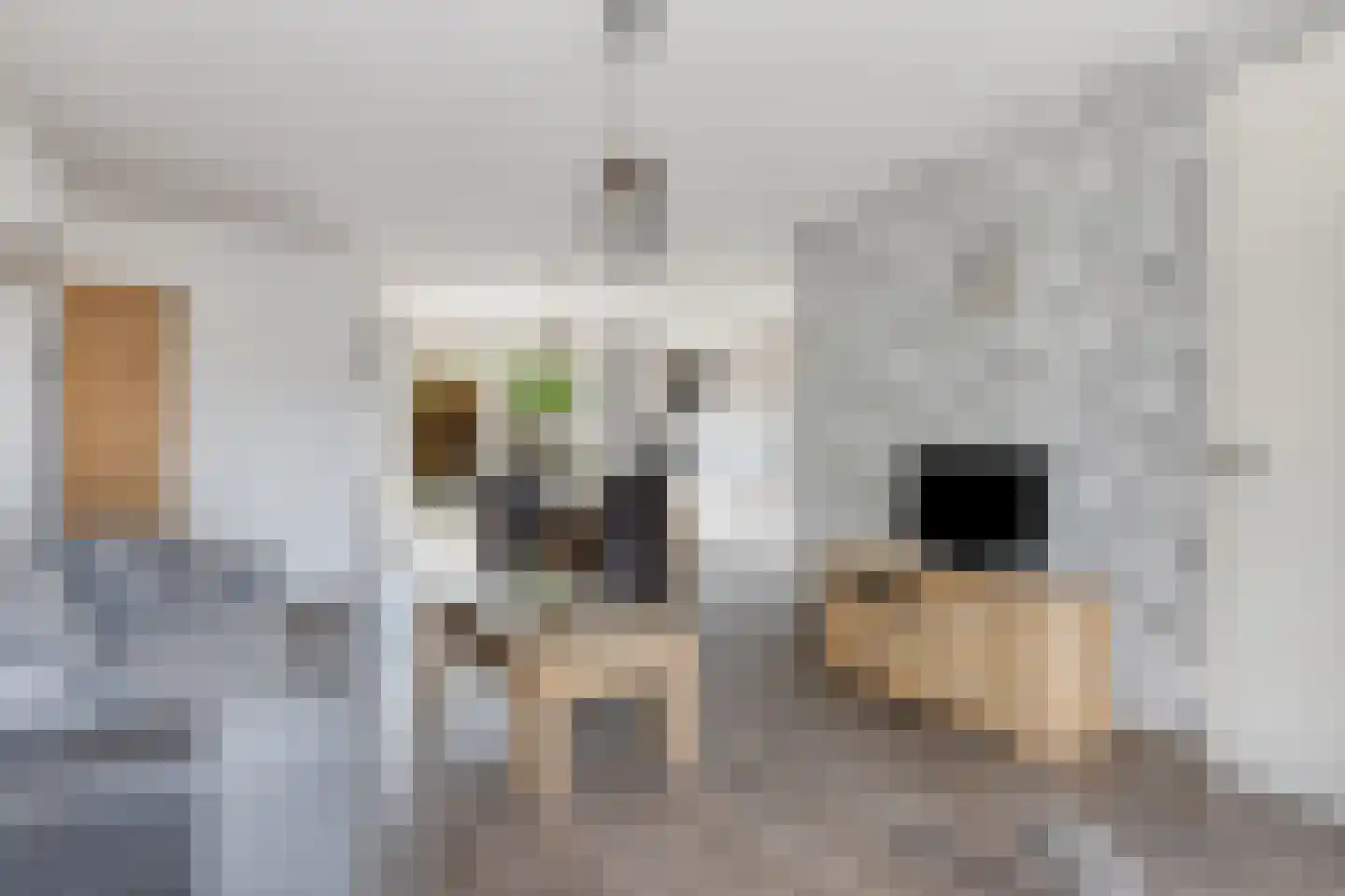 Gruttostraat 9 Bruchem thumbnail 13