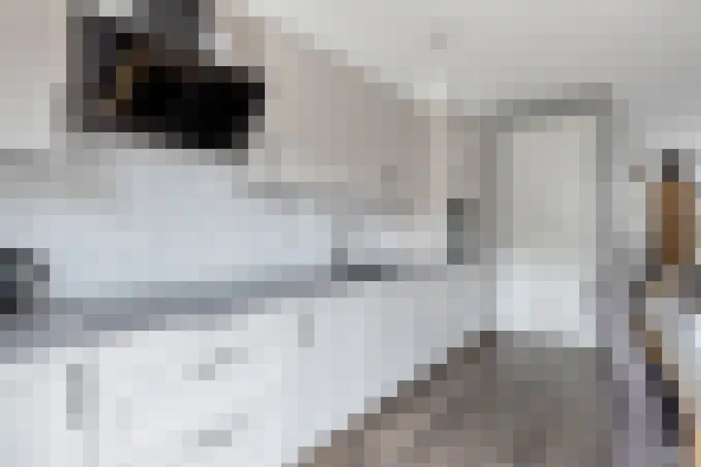 Gruttostraat 9 Bruchem thumbnail 21