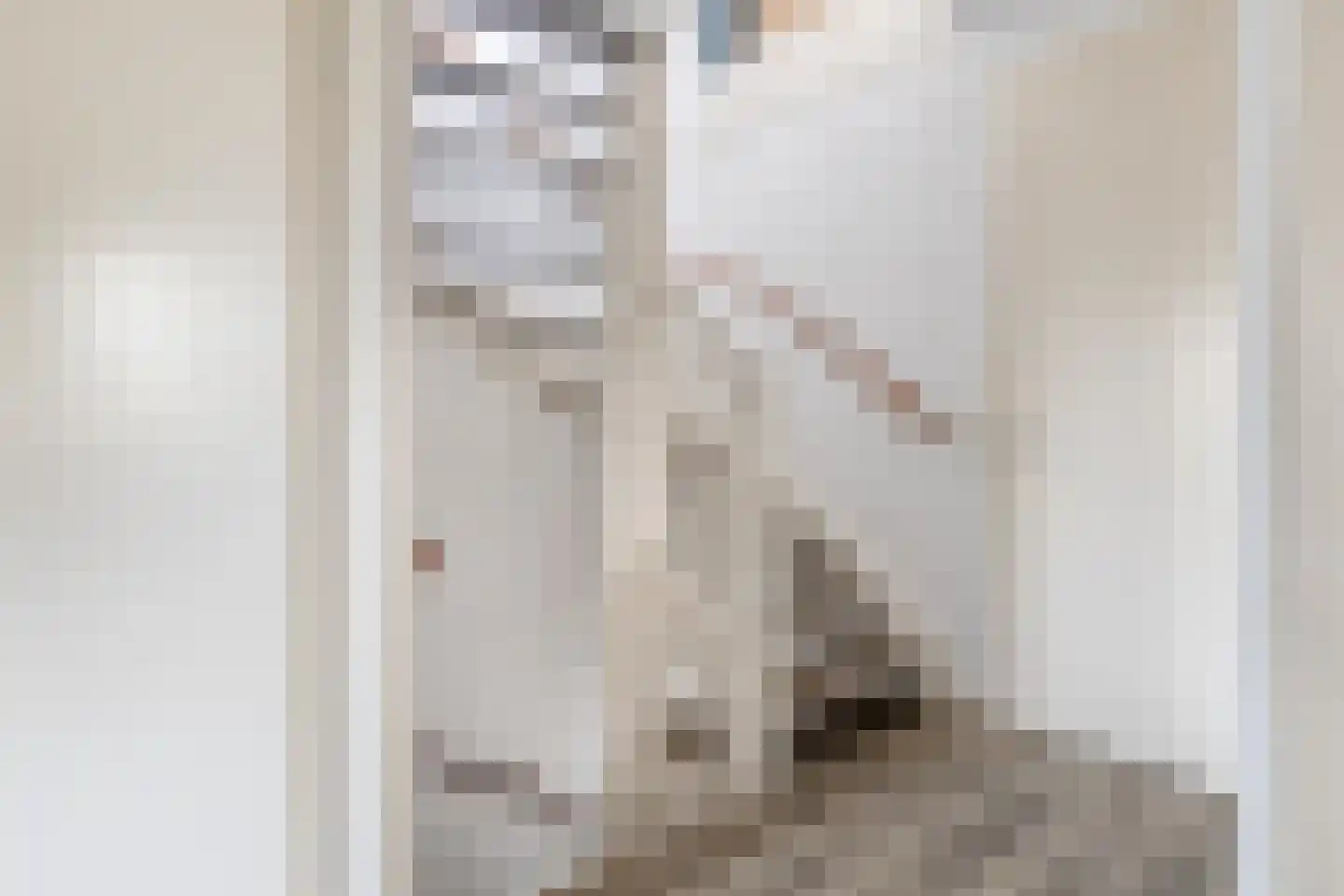 Gruttostraat 9 Bruchem thumbnail 25
