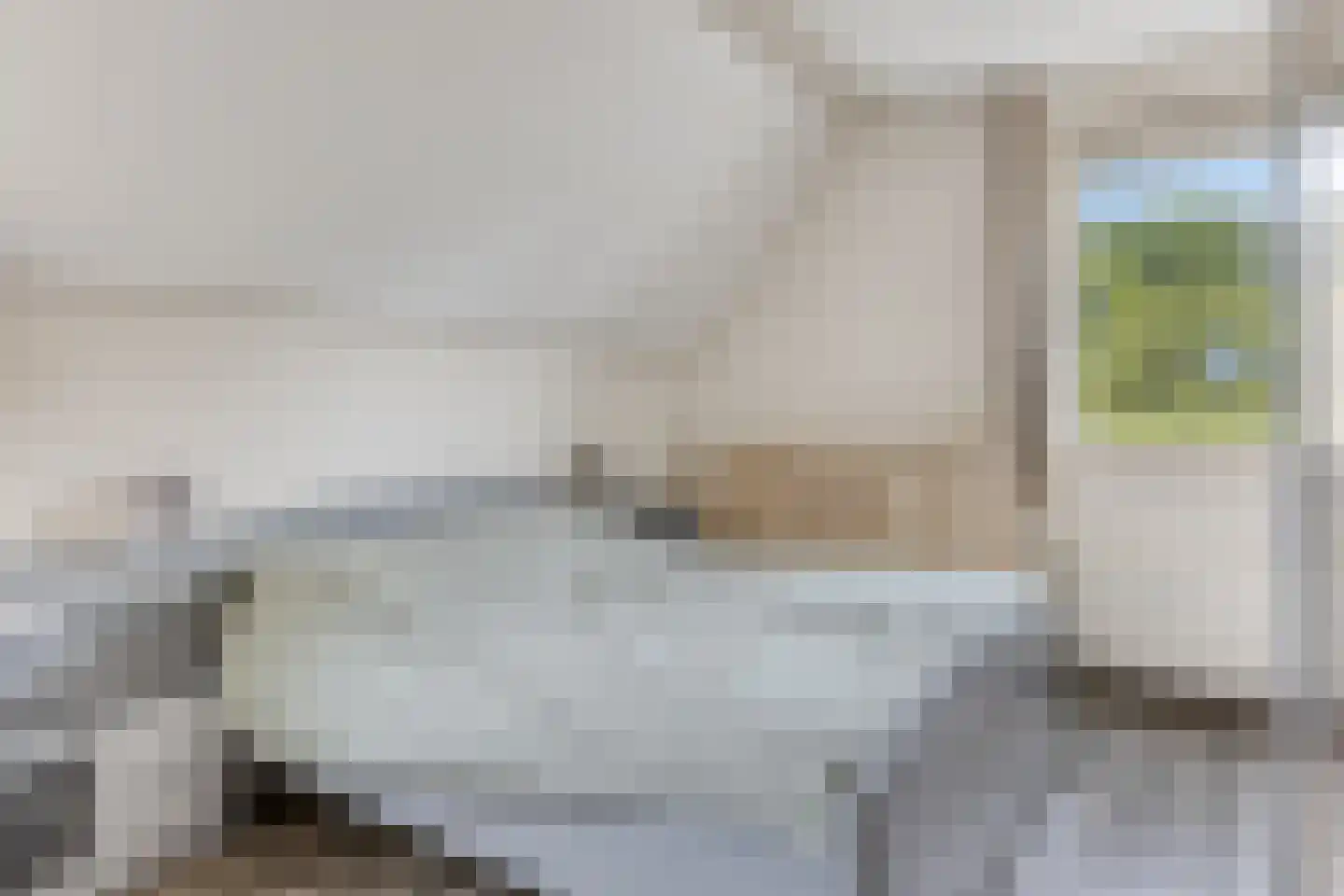 Gruttostraat 9 Bruchem thumbnail 26