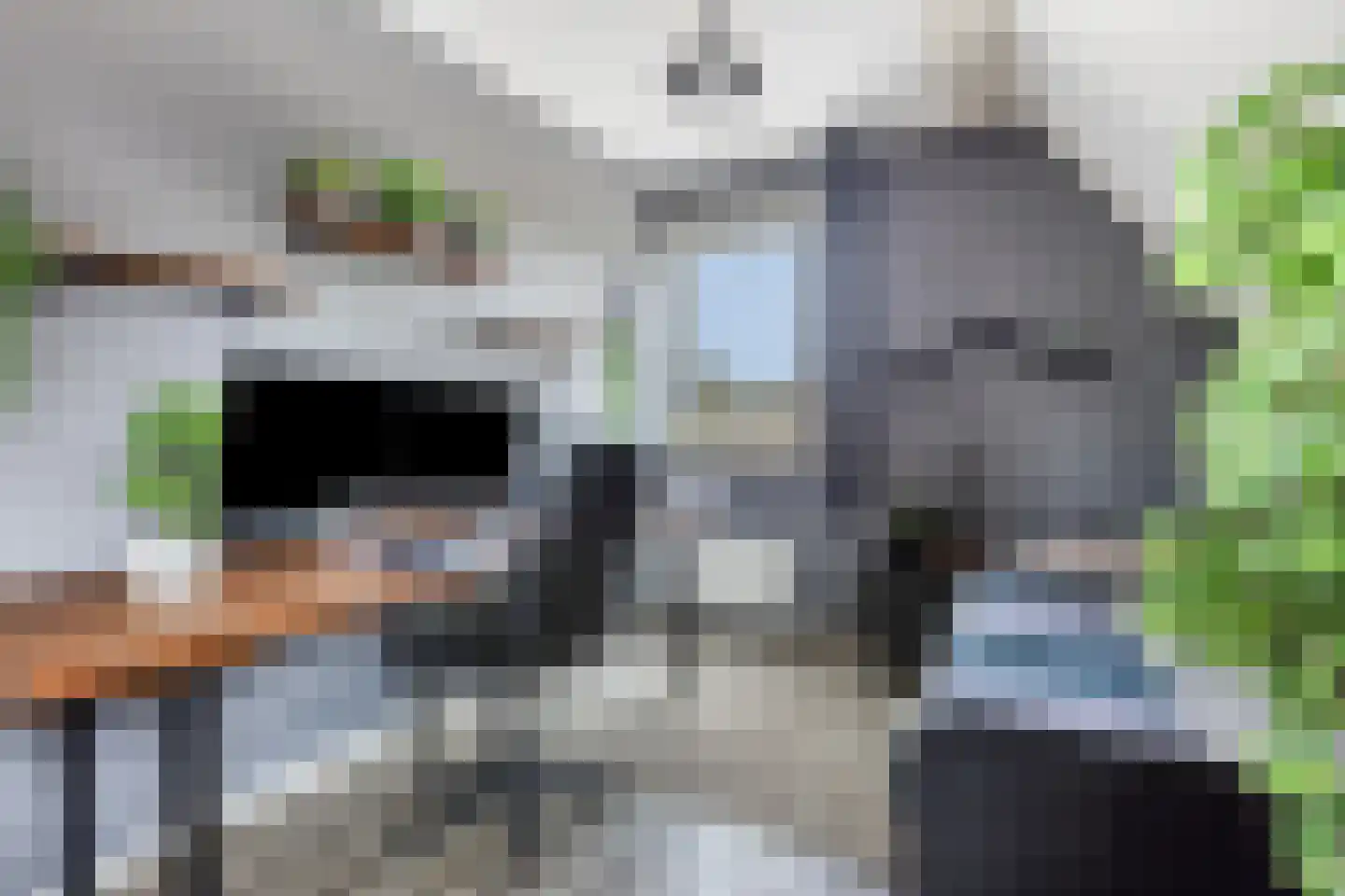 Gruttostraat 9 Bruchem thumbnail 28